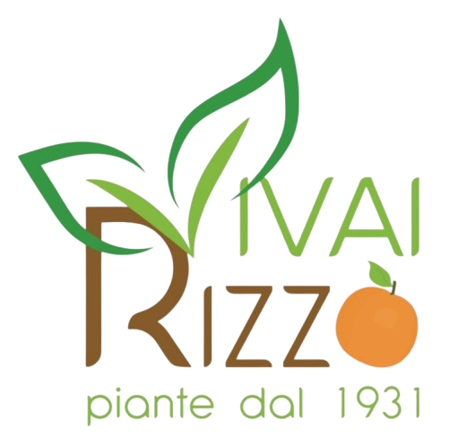 Logo Vivai Rizzo